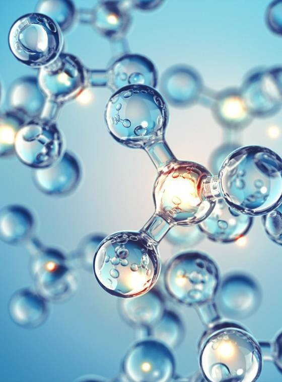 bioactive-compounds Acanthus Ilicifolius